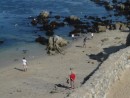 Californians love their beaches