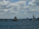 Sailing passion- Auckland Harbour