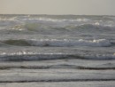 The Tasman sea breaks into Piha Beach- even locals are aware that this beach is known to have exceedingly dangerous rips.