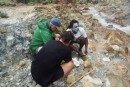 Ausflug zum Boiling Lake, Dominica, mit Seacat