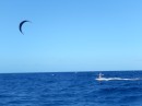Ein Kite Surfer begleitet uns auf der Einfahrt nach San Juan, Puerto Rico