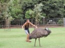 Deb tried to corral an emu