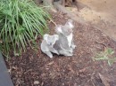Mama koala and baby