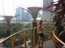 in the canopy walk between the supertrees