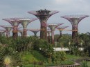 Welcome to Avatar forest, aka Gardens by the Bay "super tree" grove