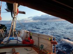 we motorsailed for 5 days straight down the coast of Africa towards the Canary islands