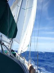 running dead downwind with just the two headsails