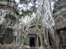 The roots of one tree almost cover this temple
