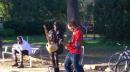 street musicians liven up the Parque Ciutadella