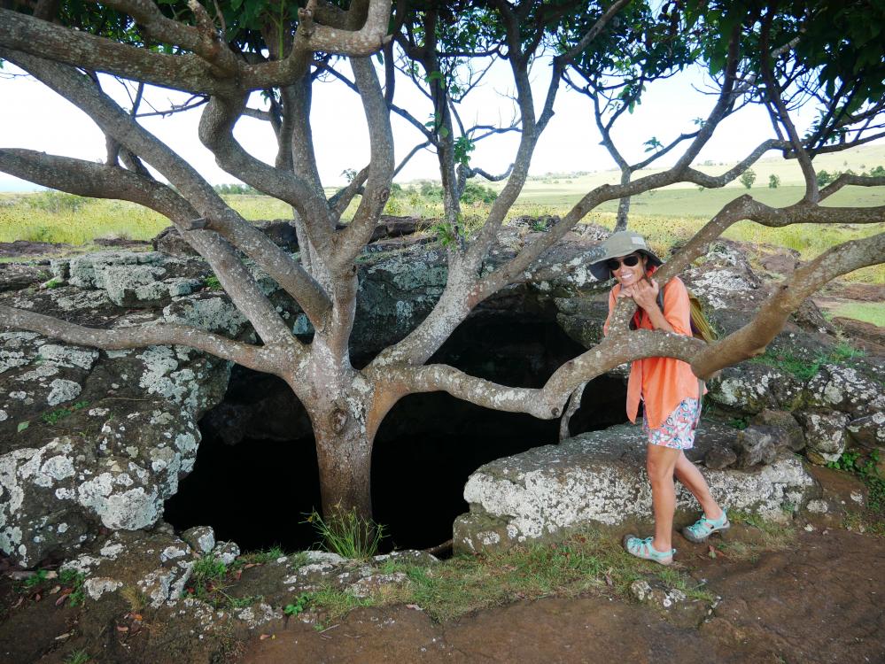 Tree growing from lava tube.: The bottom was about 20