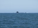 A submarine surfaced in front of us as we headed north again.