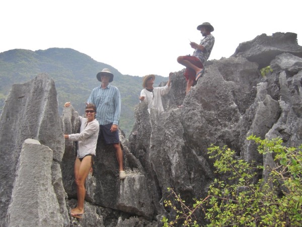 Perched in the pinnacles.
