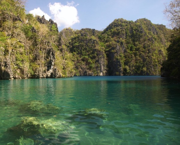 Kayangan lake on Coron Is. This is a brackish lake with crystal clear water.