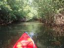 Jungle boat cruise: Our new Hobie peddle kayak is perfect for gliding through the many rivers and mangroves in this area. We are silent and stealth without a splash. 