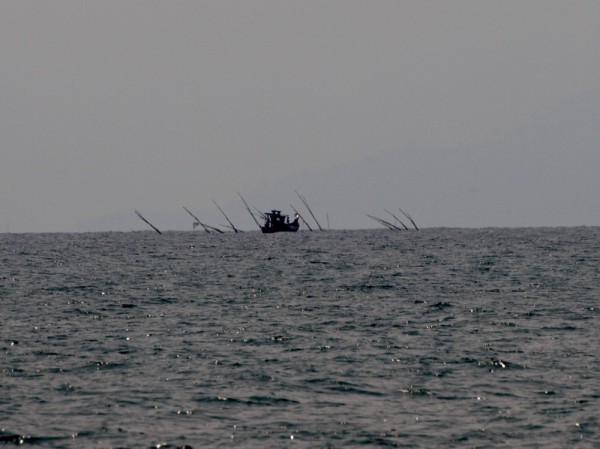  We encountered a lot of "fish attractors" consisting of bamboo structures anchored to the bottom in up to 100
