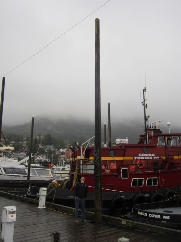 The pilings in Alaskan harbors have to be pretty tall to keep up with the tides. These are in Ketchikan.