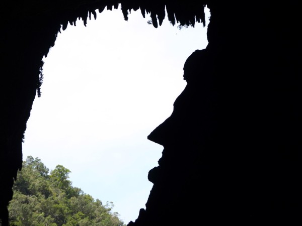 The next day we visited the "Deer cave" and  walked the largest cave passage in the world. Looking back out the entrance we saw a familiar figure.
