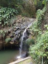 Annandale Waterfall