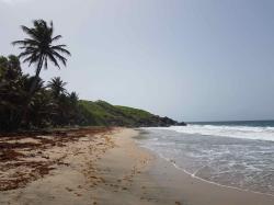 Beach bei Petite Anse