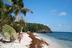 Tobago Cays - Beach