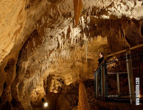 Lots of stalactites and stalagmites. It takes 100 year for 1 inch to grow!