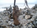 Cool Driftwood