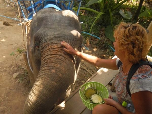 Feeding the elephants was fun!