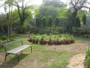 Garden in front of my family