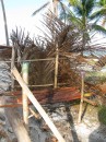 Kuna handmade BBQ w/palm frond wind barrier in San Blas