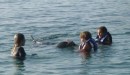 Kids w/trainer and dolphins