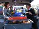 Whangarei Farmers Market - those are local sea urchins in the front