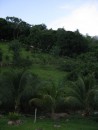 Belmont Estates, Grenada