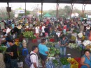 Fresh Market on Saturday morning on Santa Cruz, Galapagos