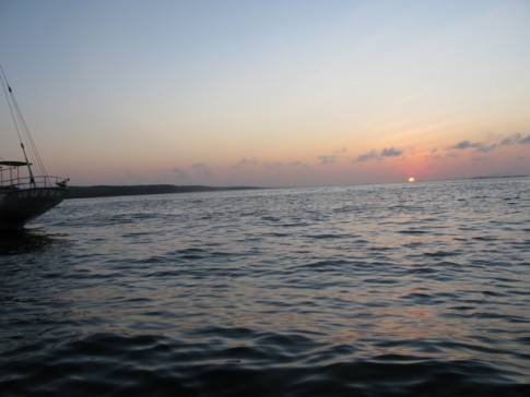 Sunrise on the morning of our tour to Isabela, Carl Linne