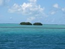 little Roques islands...water very shallow