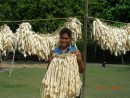 Drying the material used to make woven mat skirts - Niuatoputapu, Tonga