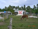 Harbor village and cemetary - Niuatoputapu, Tonga