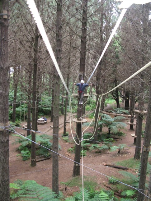 Tom balancing at Adventure Forest in Whangarei