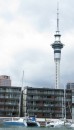 Zen and the SkyTower in Auckland