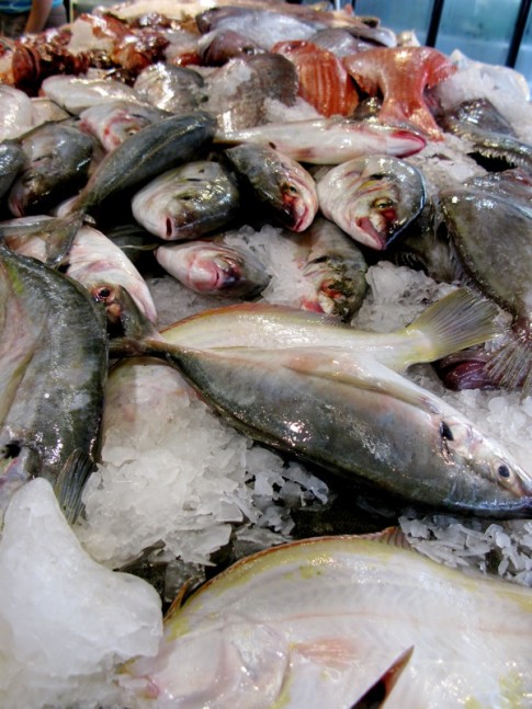 Fish market in Auckland