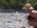Suwarrow, Seven Islands, Monique and Baby booby bird