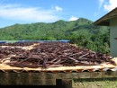 Vanilla plantation and packaging, Tahaa, FP
