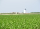 Across the marsh to the lighthouse