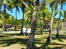 Jack and Dan strolling along the palm covered grounds of the Plantation Resort on Malolo Lailai Island