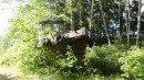 Abandoned logging boat, complete with trailer.  Jennis Bay
