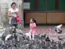 46 feeding the pigeons on church steps
