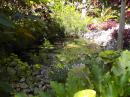 Pond with a lily –we used to have one of these before the drought!