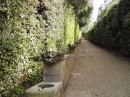Boboli Gardens: Headed back to the top  through garden paths that zigzagged the hill, we found this marvelous long fountain with the heads of different fanciful beasts spewing the gravity-flowing water to the next head.  Wasn