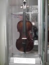 Galleria dell’Accademia: 18th century viola.