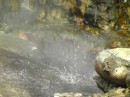 bubbling hot springs